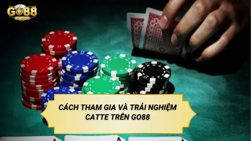 Cách Tham Gia Và Trải Nghiệm Catte Trên Go88