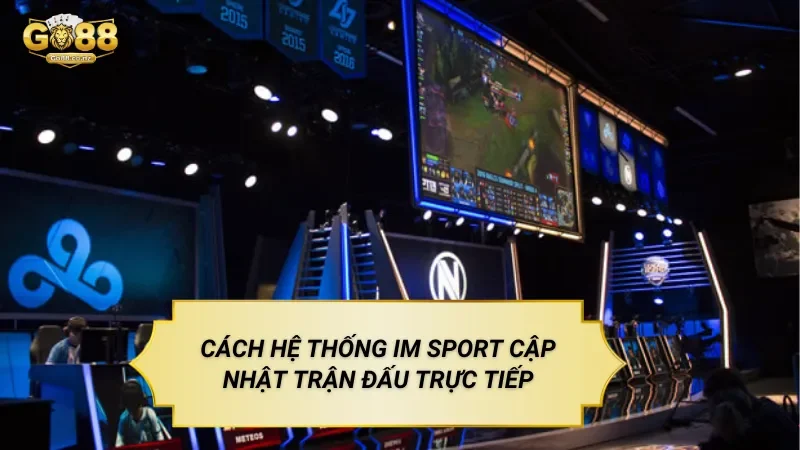 Cách Hệ Thống IM Sport Cập Nhật Trận Đấu Trực Tiếp