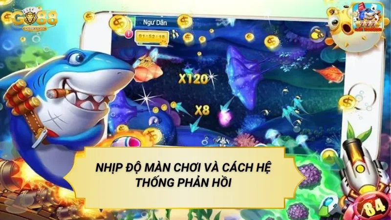 Nhịp Độ Màn Chơi Và Cách Hệ Thống Phản Hồi