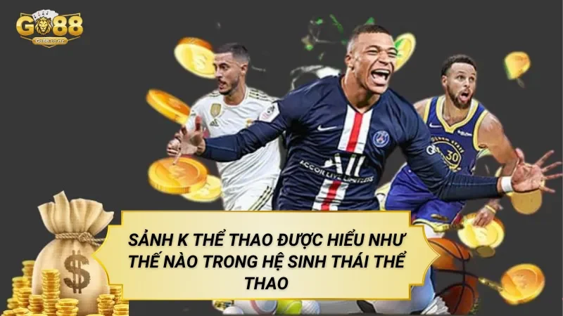 Sảnh K Thể Thao Được Hiểu Như Thế Nào Trong Hệ Sinh Thái Thể Thao