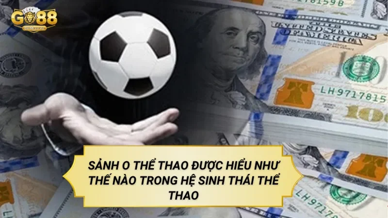 Sảnh O Thể Thao Được Hiểu Như Thế Nào Trong Hệ Sinh Thái Thể Thao