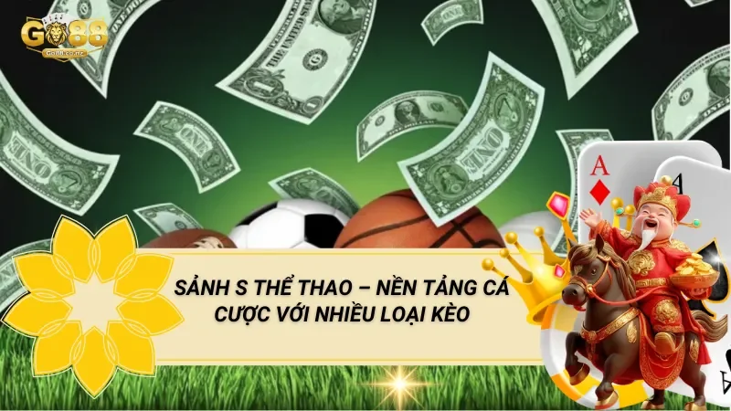 Sảnh S Thể Thao – Nền Tảng Cá Cược Với Nhiều Loại Kèo
