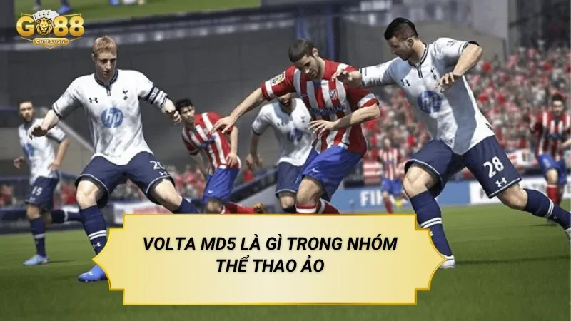 Volta MD5 Là Gì Trong Nhóm Thể Thao Ảo